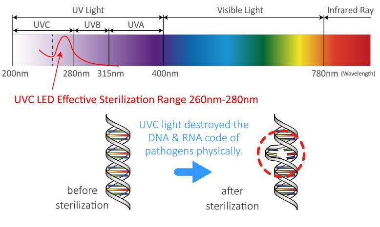 UVC LED 기술은 박테리아/바이러스/진드기와 같은 미생물의 DNA 또는 RNA을 손상시키는 260nm에서 280nm 사이의 파장의 UV-C 빛으로, 몇 분 만에 세균을 살균하여 건강을 위해 세균을 제거하는 효과를 얻습니다.